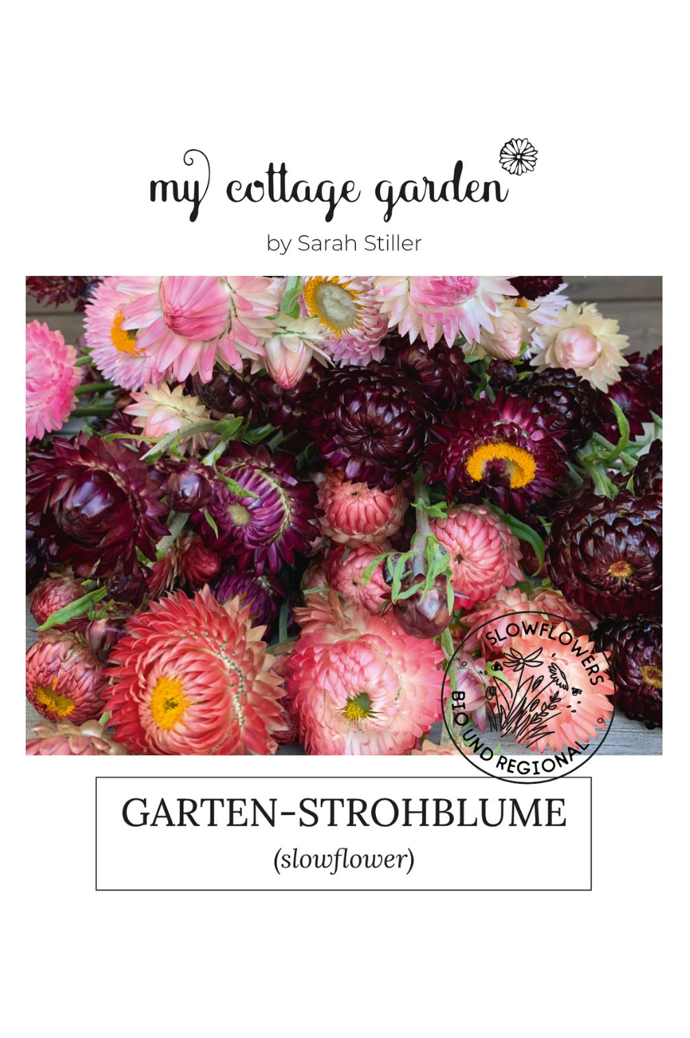 Garten-Strohblume – bio