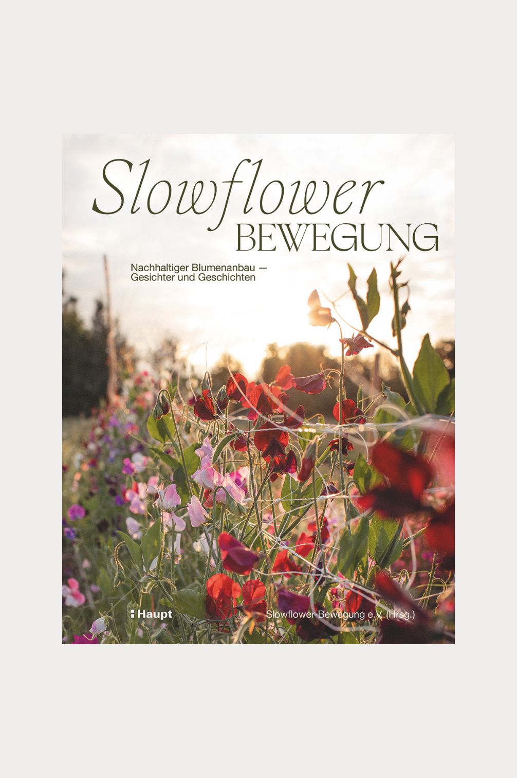 Slowflower-Bewegung: Nachhaltiger Blumenanbau – Gesichter und Geschichten