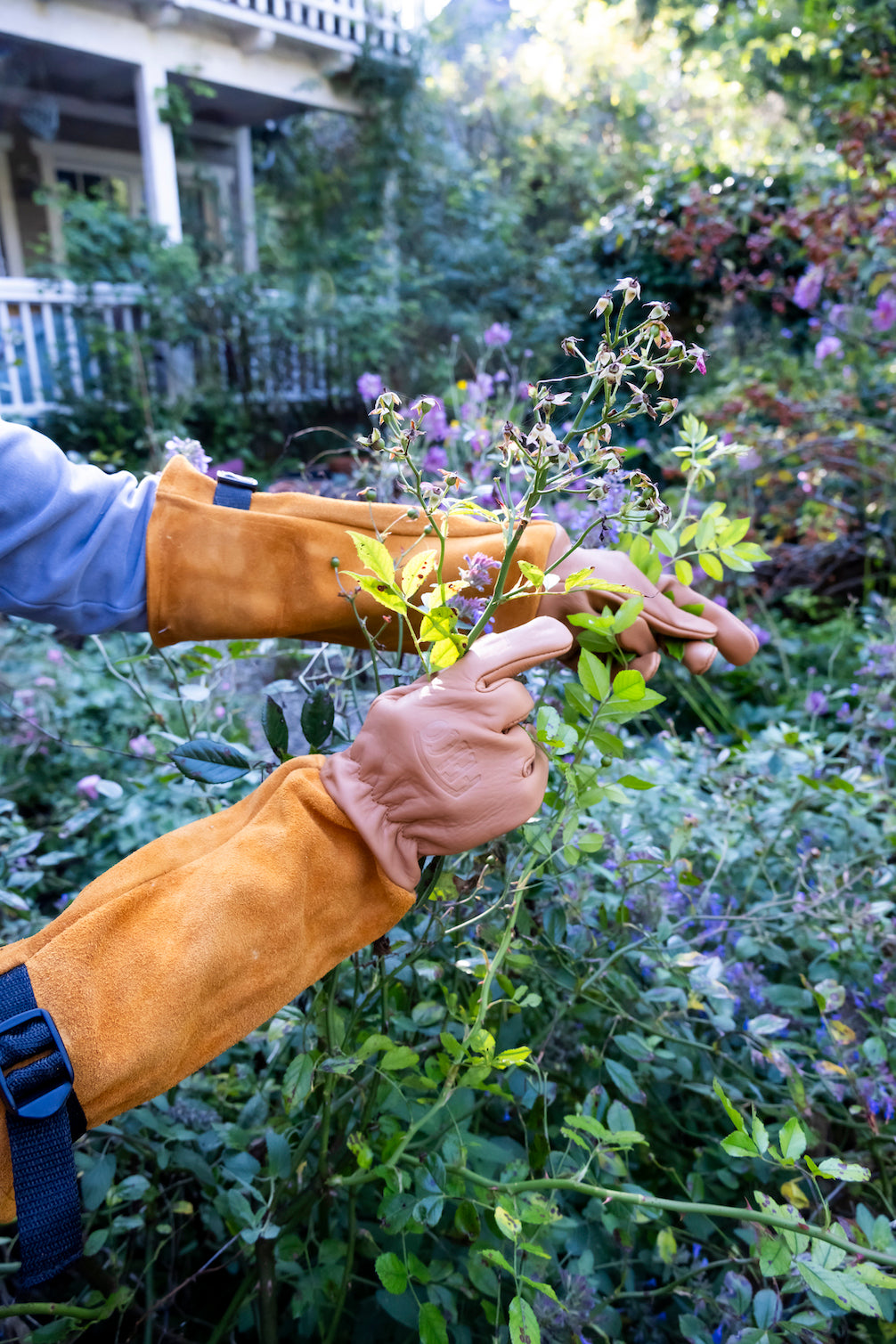 Premium Rose Gloves