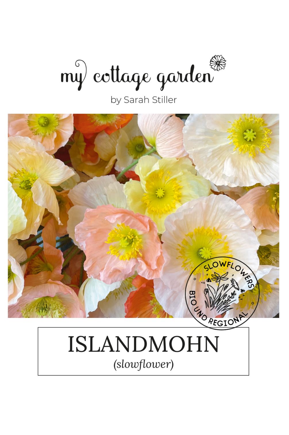 Iceland poppy – organic