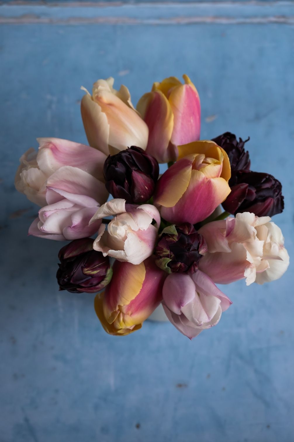 Mehrjährige Tulpenmischung "Art Deco" - 50 Zwiebeln