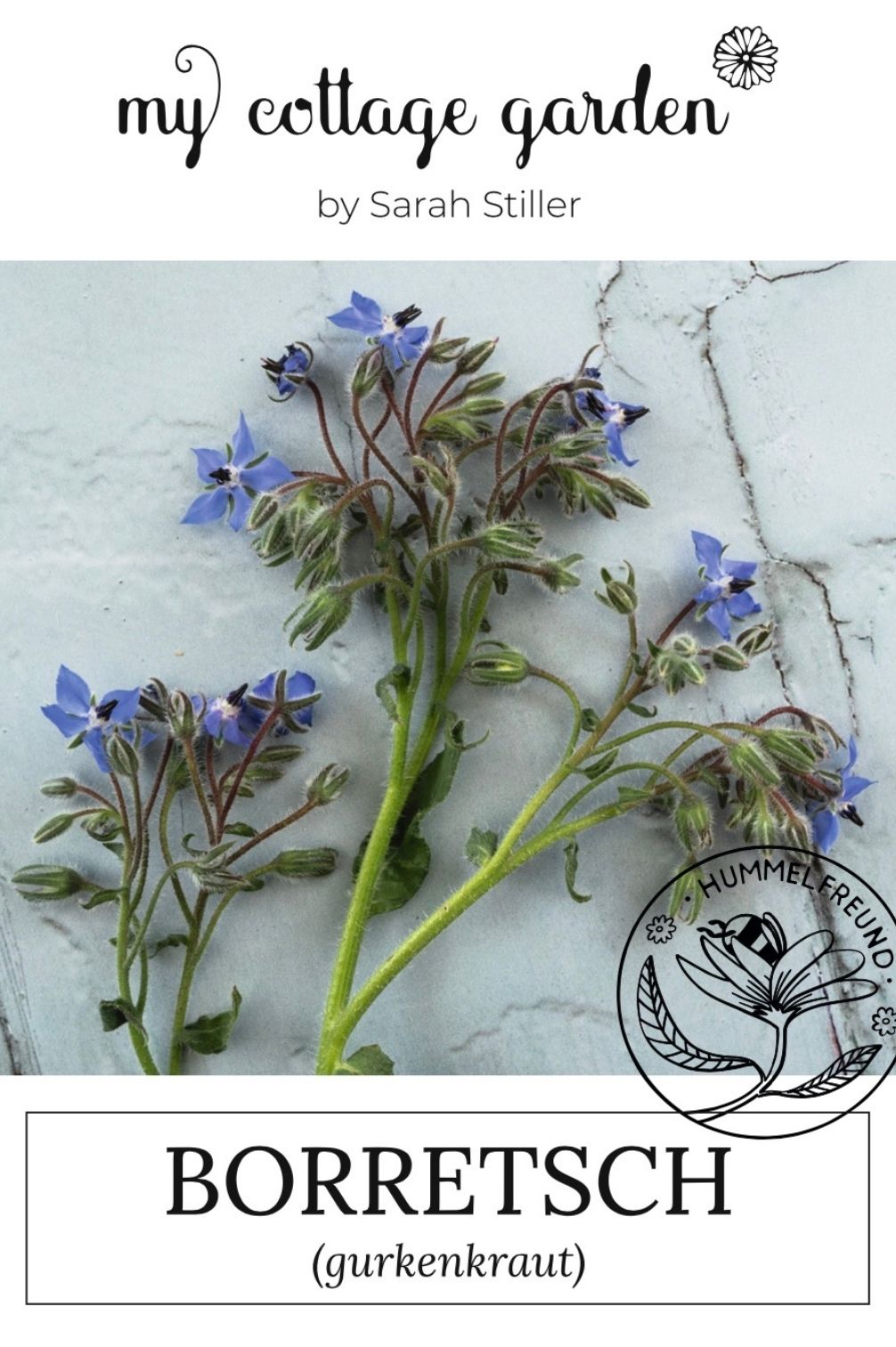 Borage (Gurkenkraut)